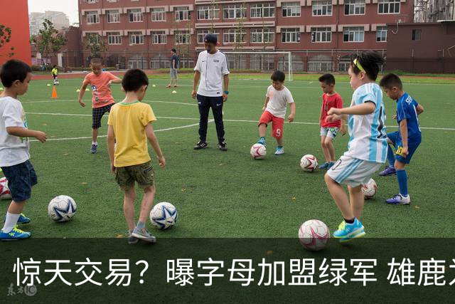 惊天交易？曝字母加盟绿军 雄鹿为布朗寻找第三方